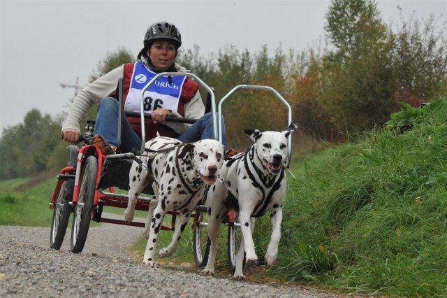 Rennen Weinfelden